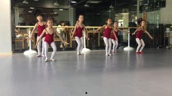 日韩练腿视频网站,练腿视频网站精选攻略